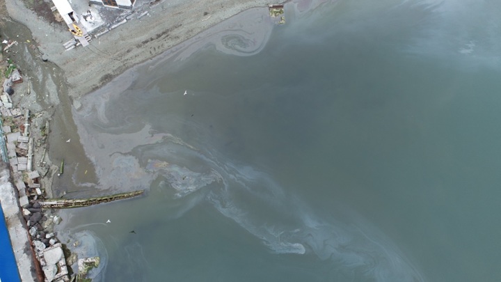 На Камчатке в Авачинской бухте произошёл нефтеразлив