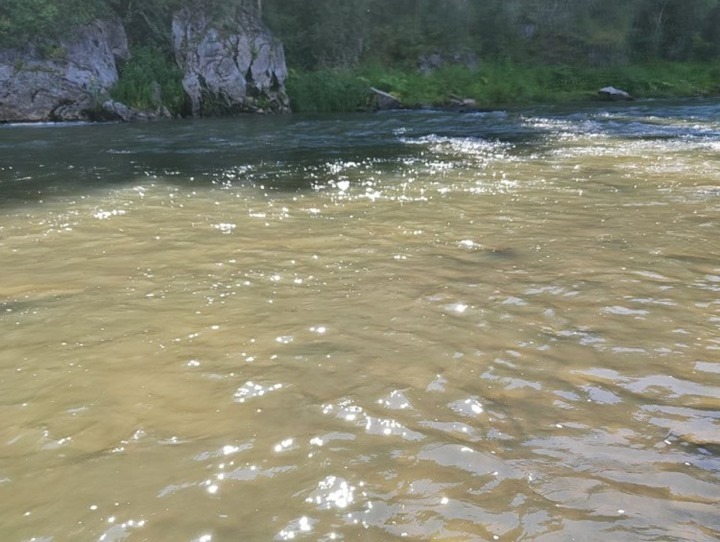 Туристы обнаружили на севере Кузбасса мутно-желтую реку